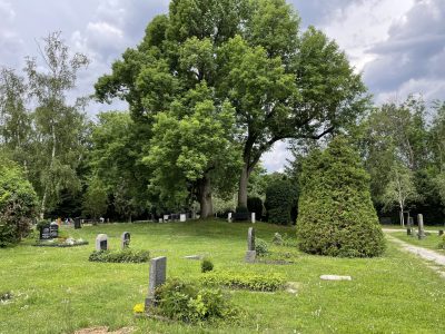 Ortsbegehung alter Friedhof